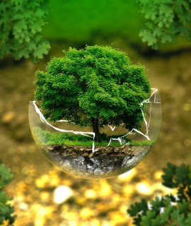 MF1971_3: Normativa y política interna de gestión ambiental de la organización