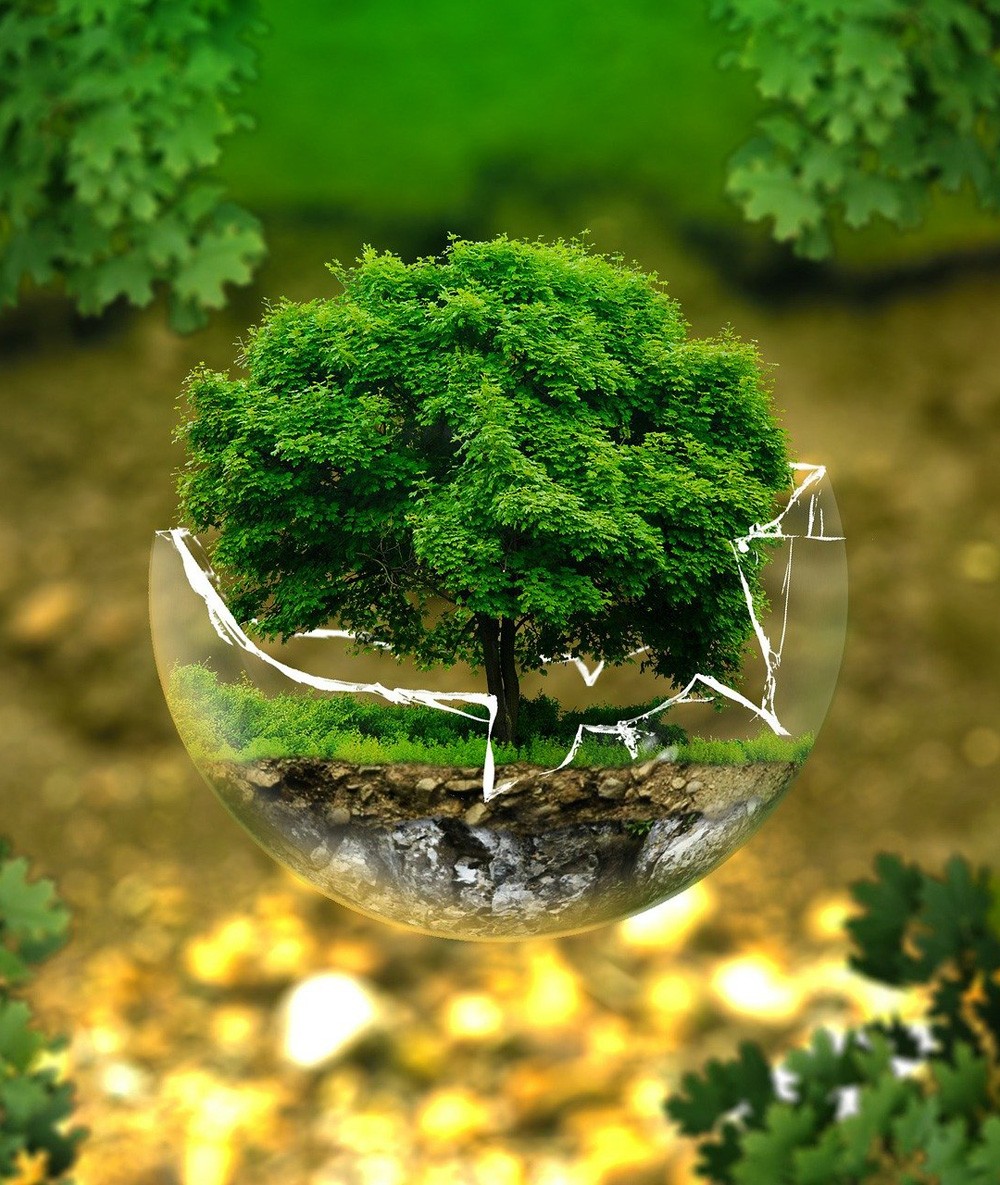 MF1973_3: Sistemas de gestión ambiental