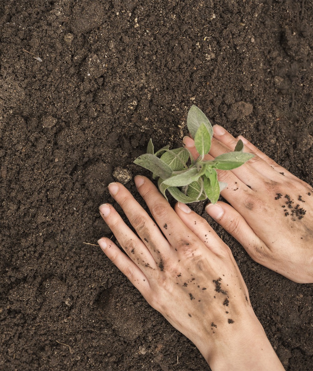 Explotaciones agrarias en agricultura ecológica