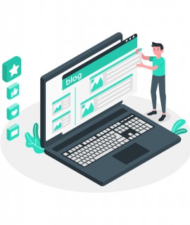 Perfil y funciones del...