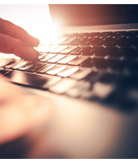 Word. Nivel avanzado - ONLINE