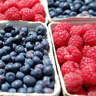 INDUSTRIAS AGROALIMENTARIAS